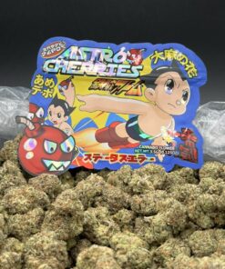 Alternative view of Astor cherries